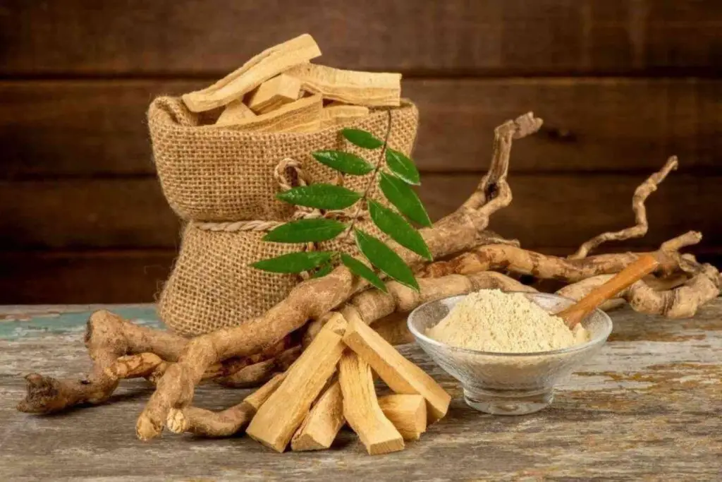 tongkat ali testosterone