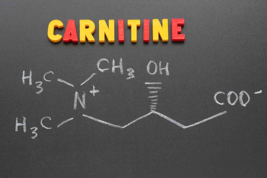 L-Carnitine Benefits