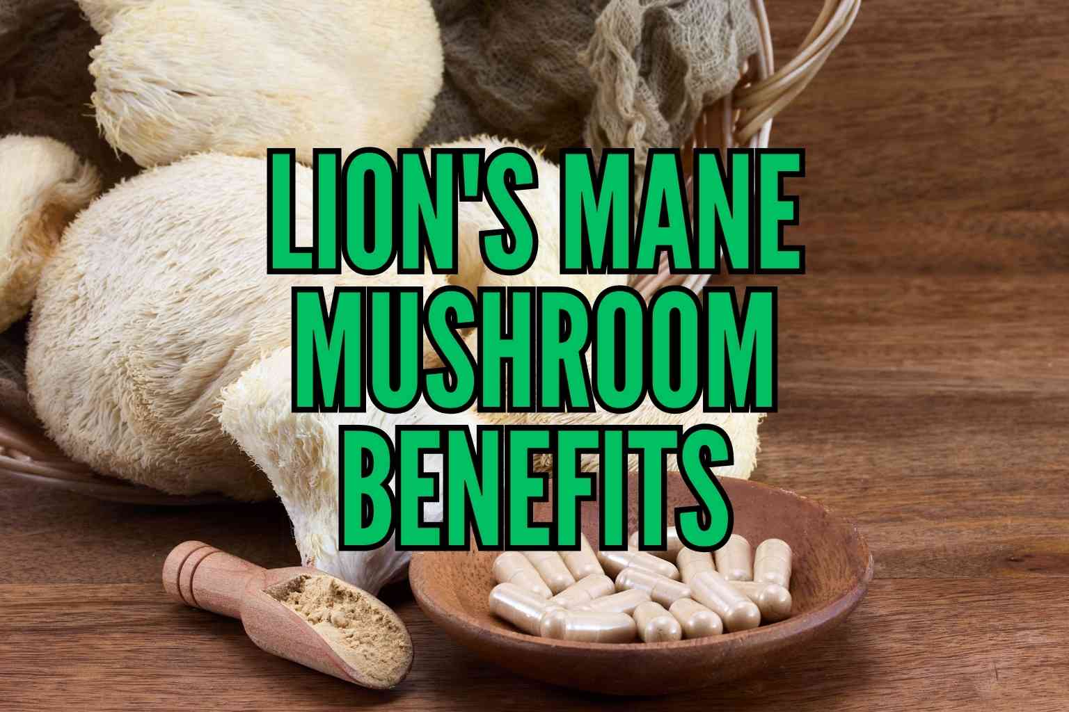 Lion's Mane Mushroom Benefits
