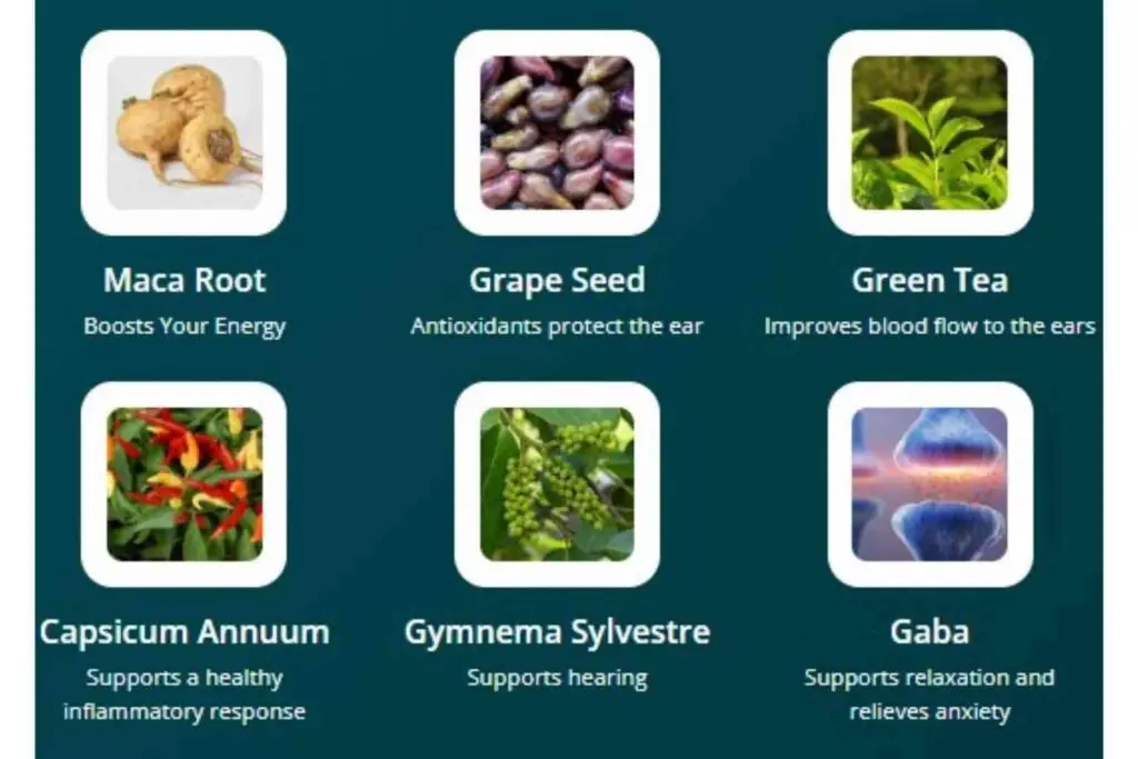 Audifort Ingredients