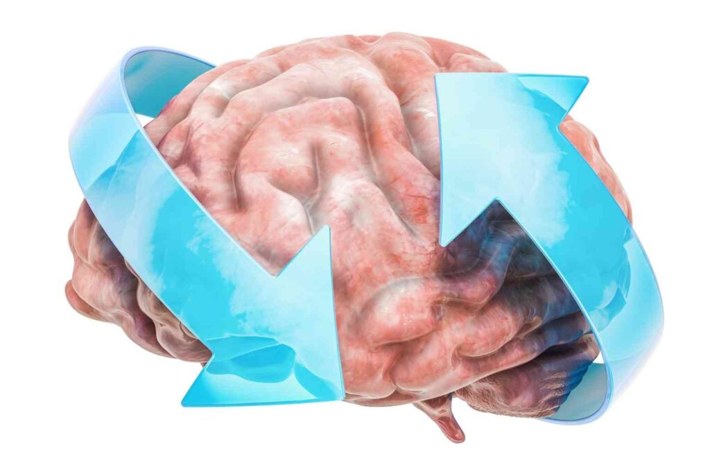 Boswellia for brain health