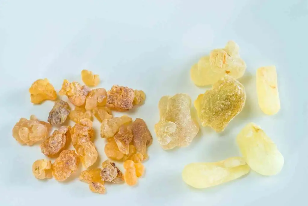 Can Boswellia Replace Ibuprofen