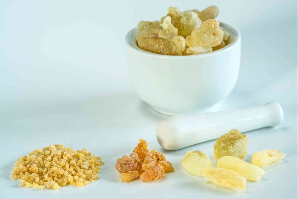 Boswellia serrata benefits