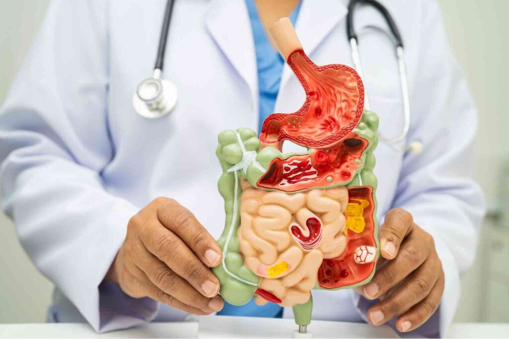 cinnamon for gut health