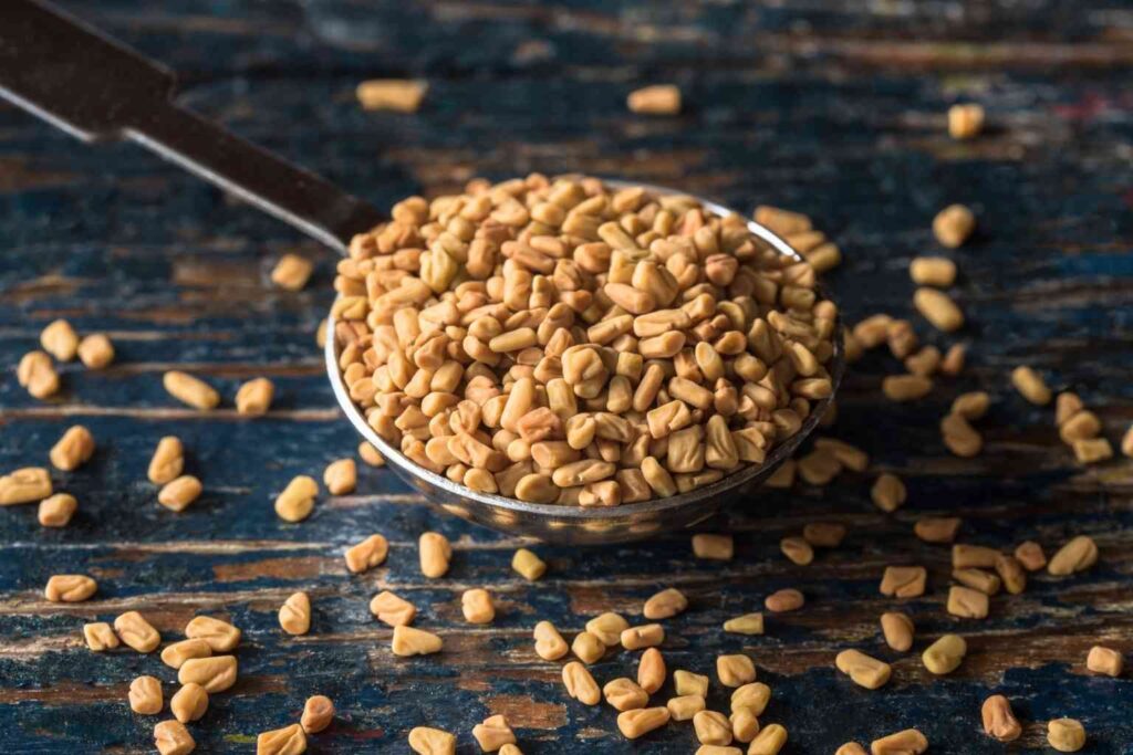 Fenugreek benefits