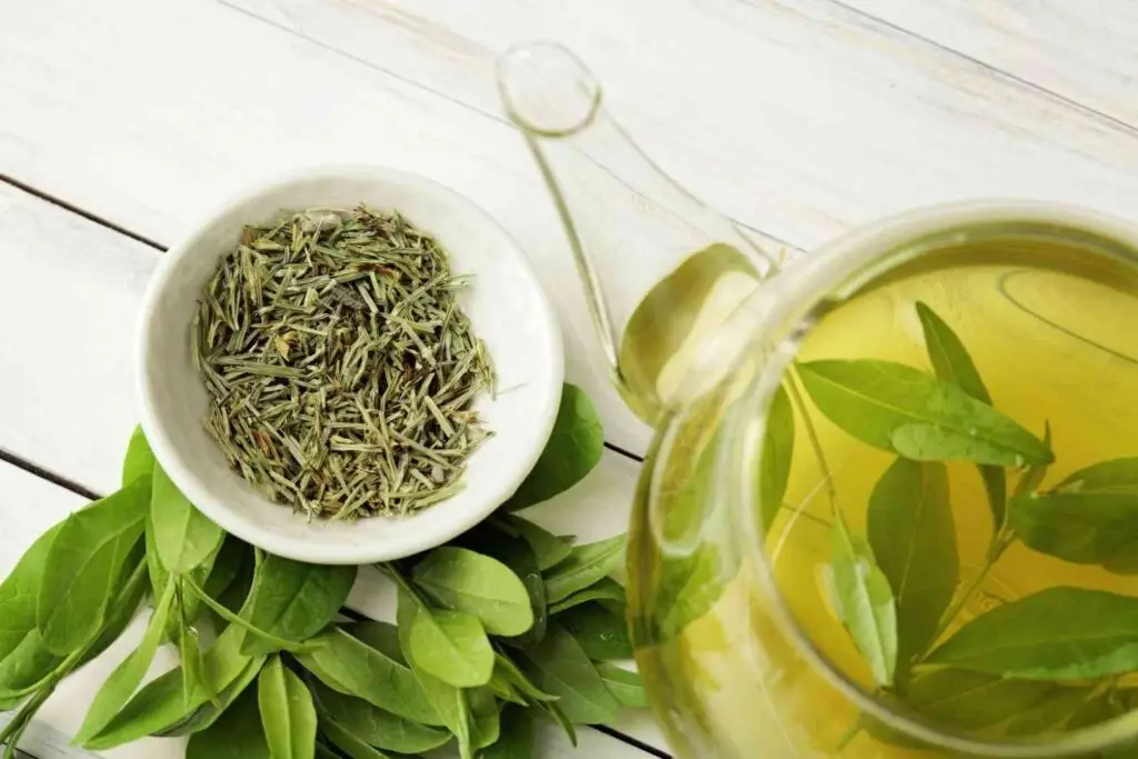 green tea extract weight loss