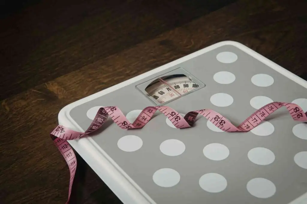 Gymnema sylvestre weight loss