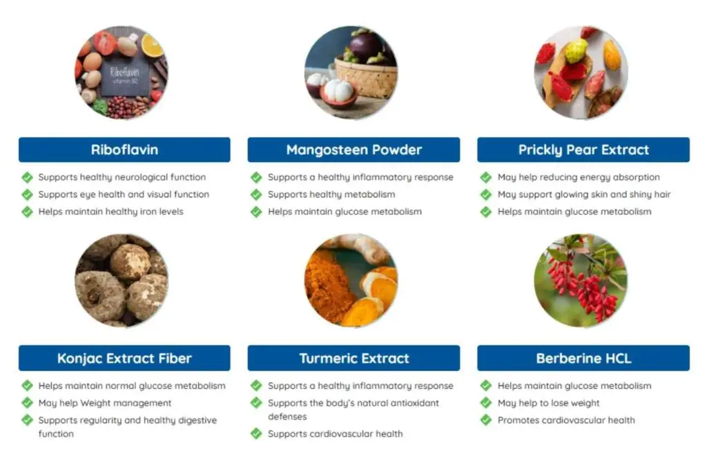 Ignitra Review Ingredients