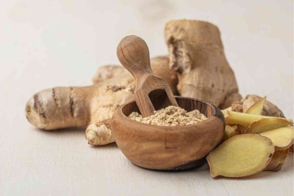 Panax Ginseng benefits