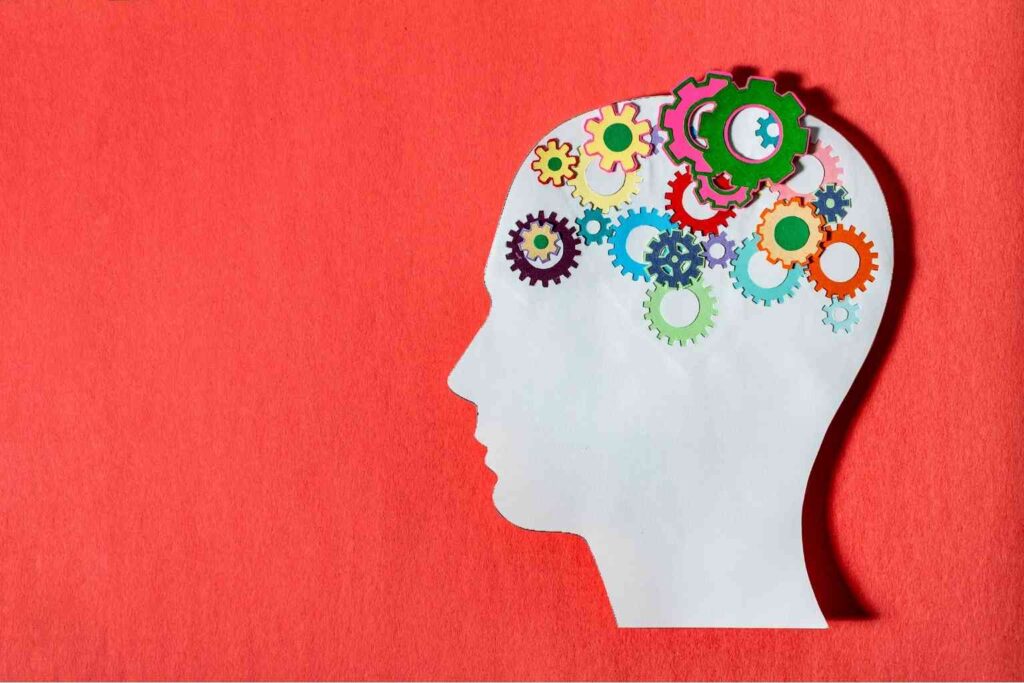 l-carnitine for brain