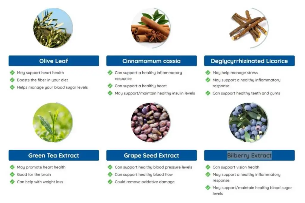 neuro serge ingredients