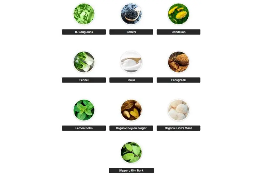 PrimeBiome Ingredients