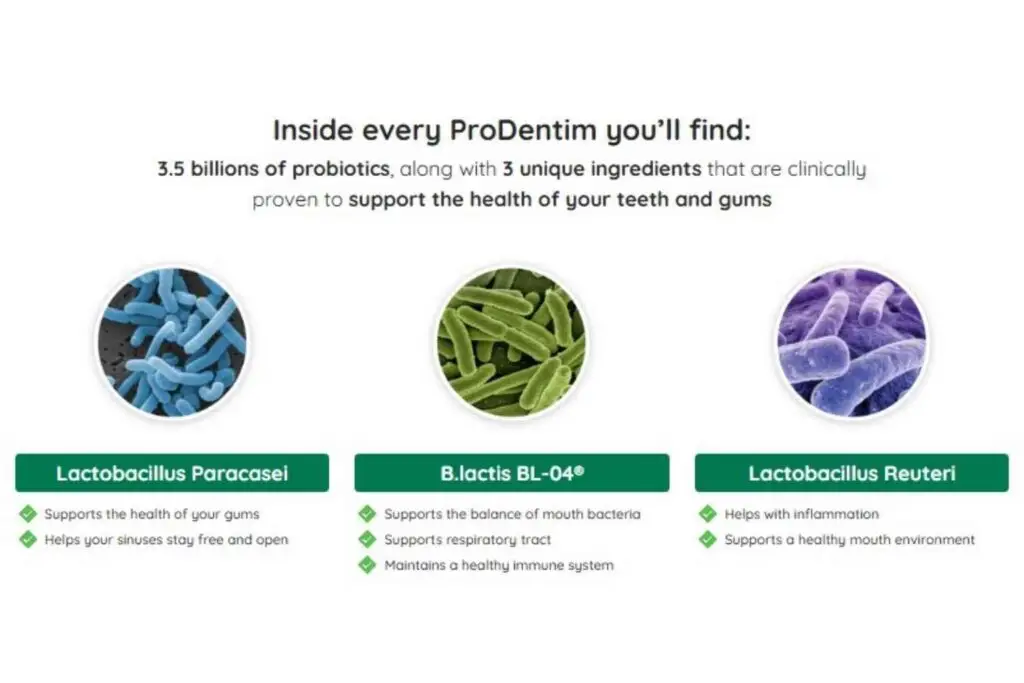Prodentim Ingredients Review