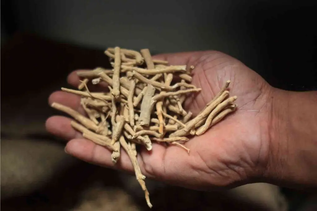 Testosterone production