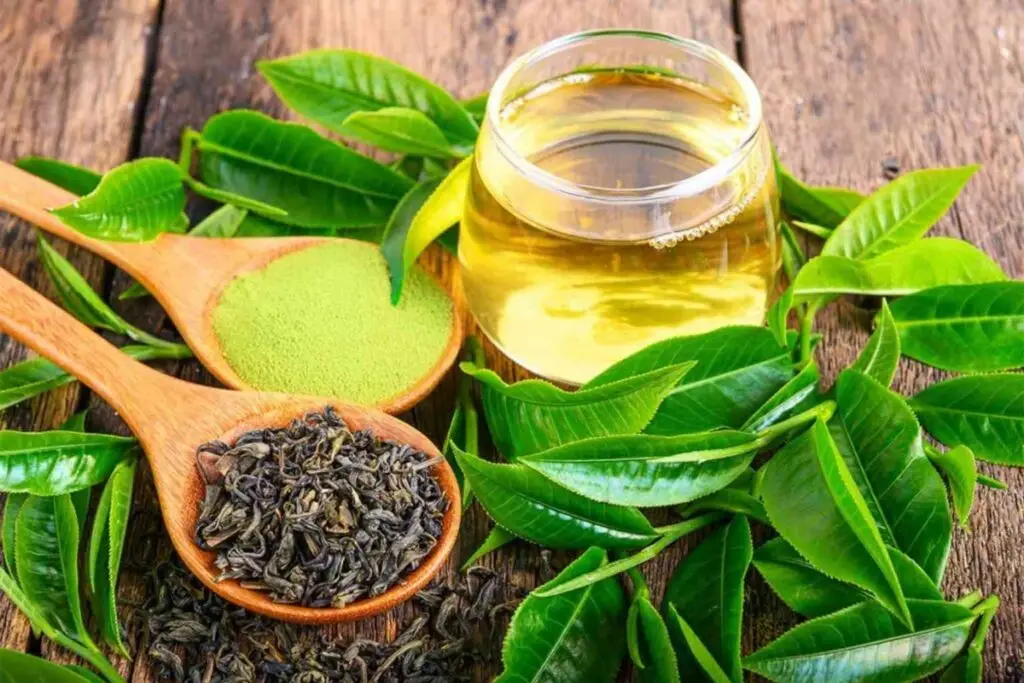what does green tea extract do