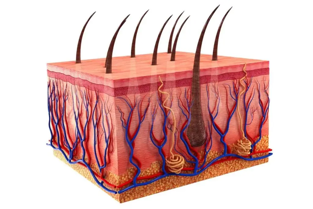 zinc for skin health